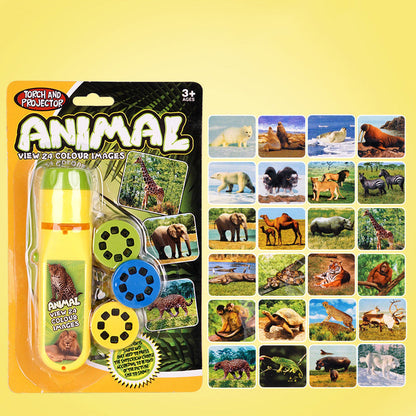 🦖Projektor edukacyjny z grą tematyczną dla uczniów